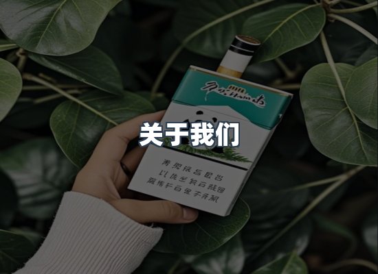 专业团队